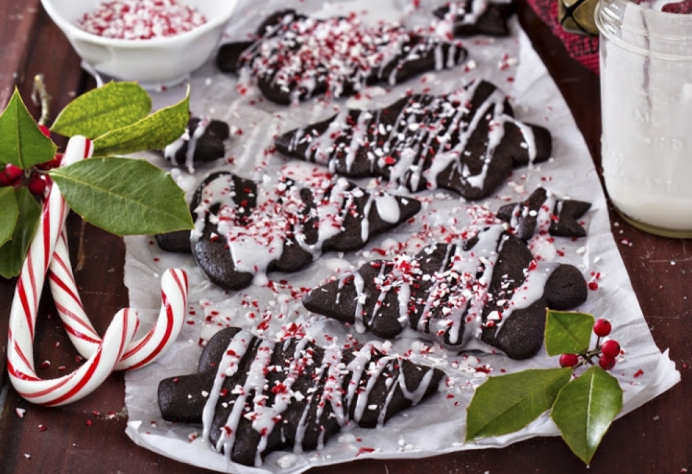 Chocolate cookies with peppermint candies for christmas