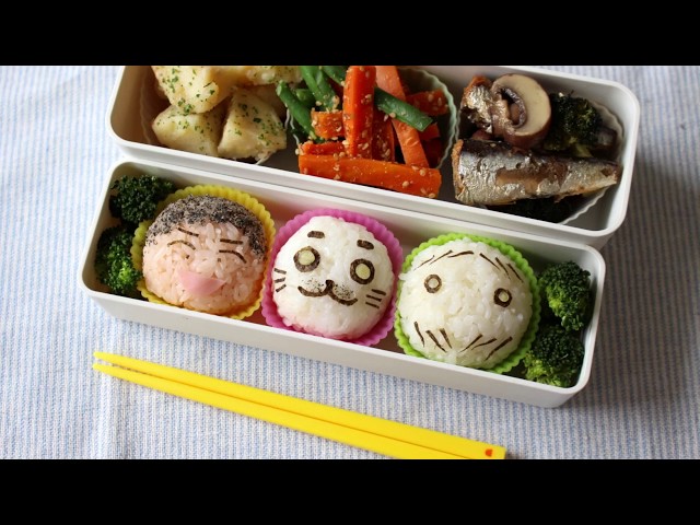 Goma chan Bento Lunch Box Recipe