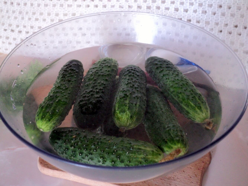 Ukrainian Spicy Marinated Cucumbers