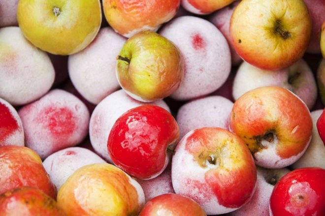 Can Apples Be Frozen Whole?