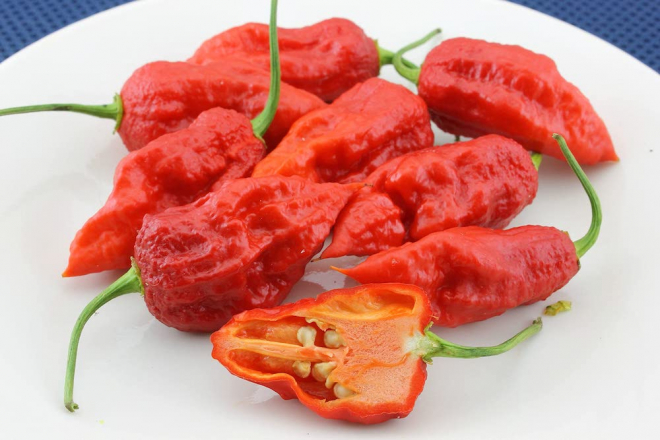 Unleashing the Heat: Exploring the World's Hottest Peppers
