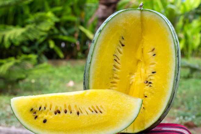 Yellow Watermelon: A Refreshing Twist on a Summertime Favorite