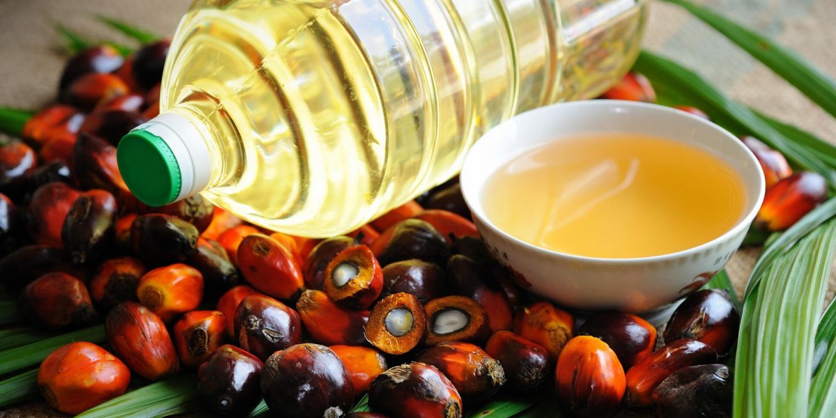 What is palm oil and why is it bad?