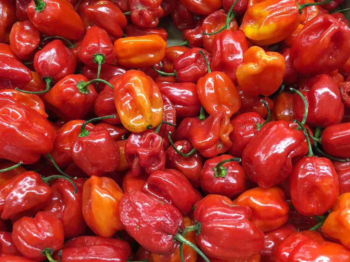 How to Cook Habaneros