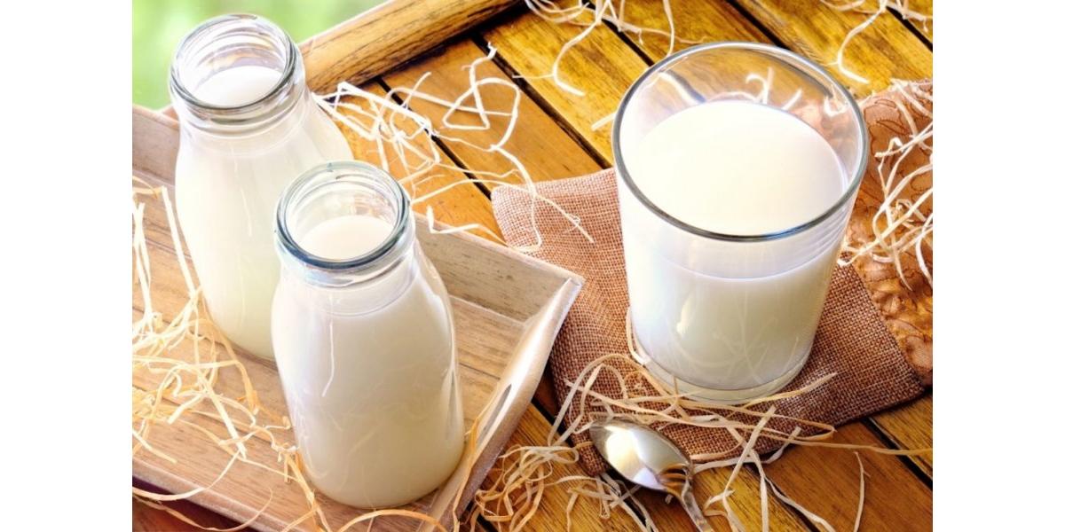 how-many-carbs-in-8-oz-of-milk-jerniganfaruolo