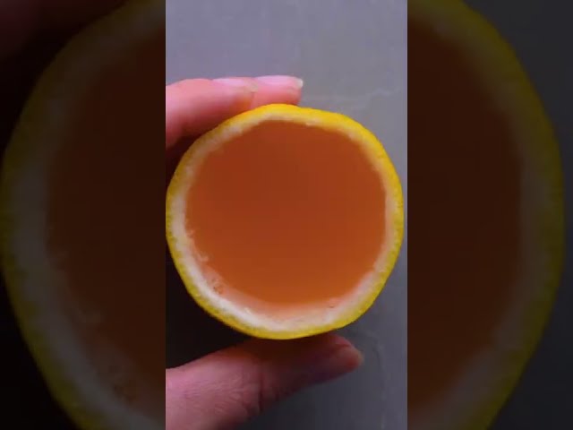 Lemon wedge jello shots
