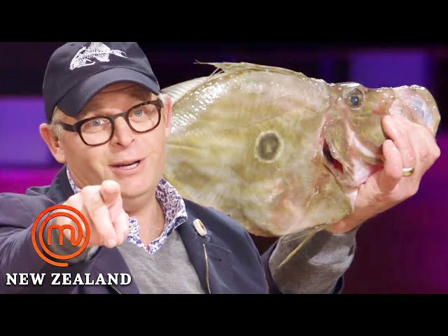 Guess The Fish Elimination Challenge | MasterChef New Zealand | MasterChef World