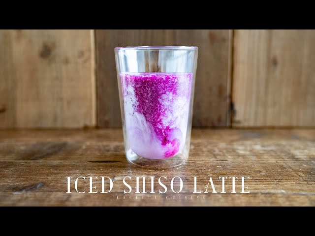 Iced Shiso Latte