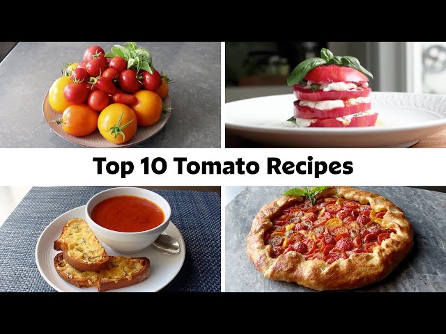 Fresh Tomato Dishes