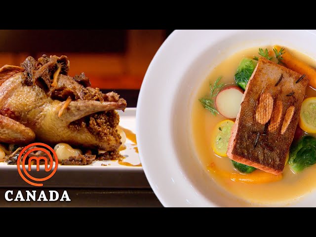 Best 60-Minute Dishes | MasterChef Canada | MasterChef World