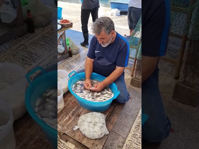 Delicious Raw Seafood
