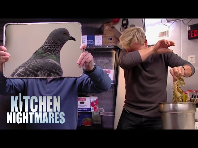 Letting the intrusive thoughts win | Kitchen Nightmares