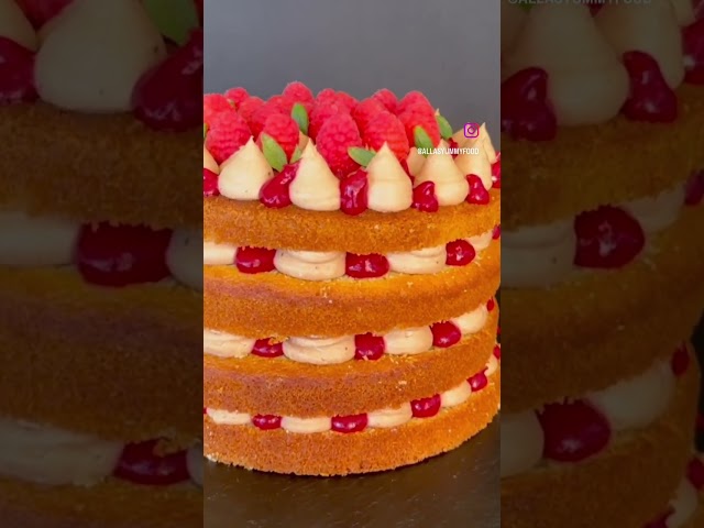 Chocolate raspberry vanilla cake