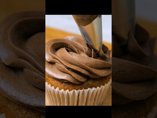Chocolate Rrosette Cupcake