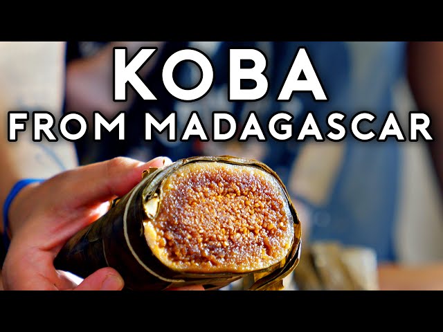Koba from Madagascar