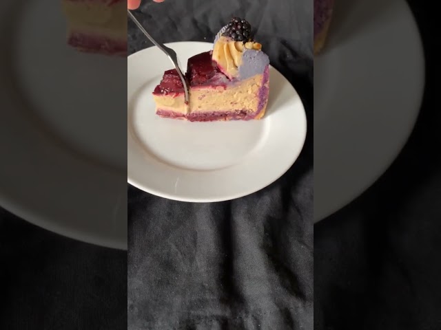 Peanut Butter & Blackberry Cheesecake