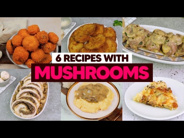 6 best mushroom recipes