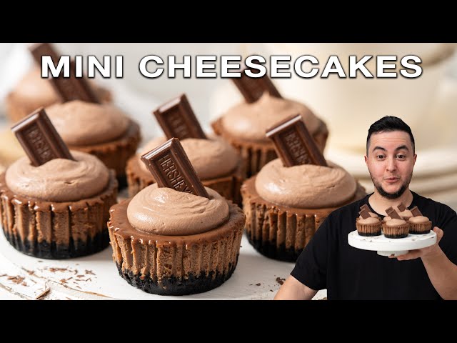Best Mini Baked Chocolate Cheesecake