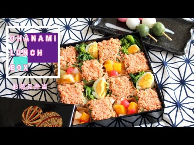 Ohanami Bento Lunch Box